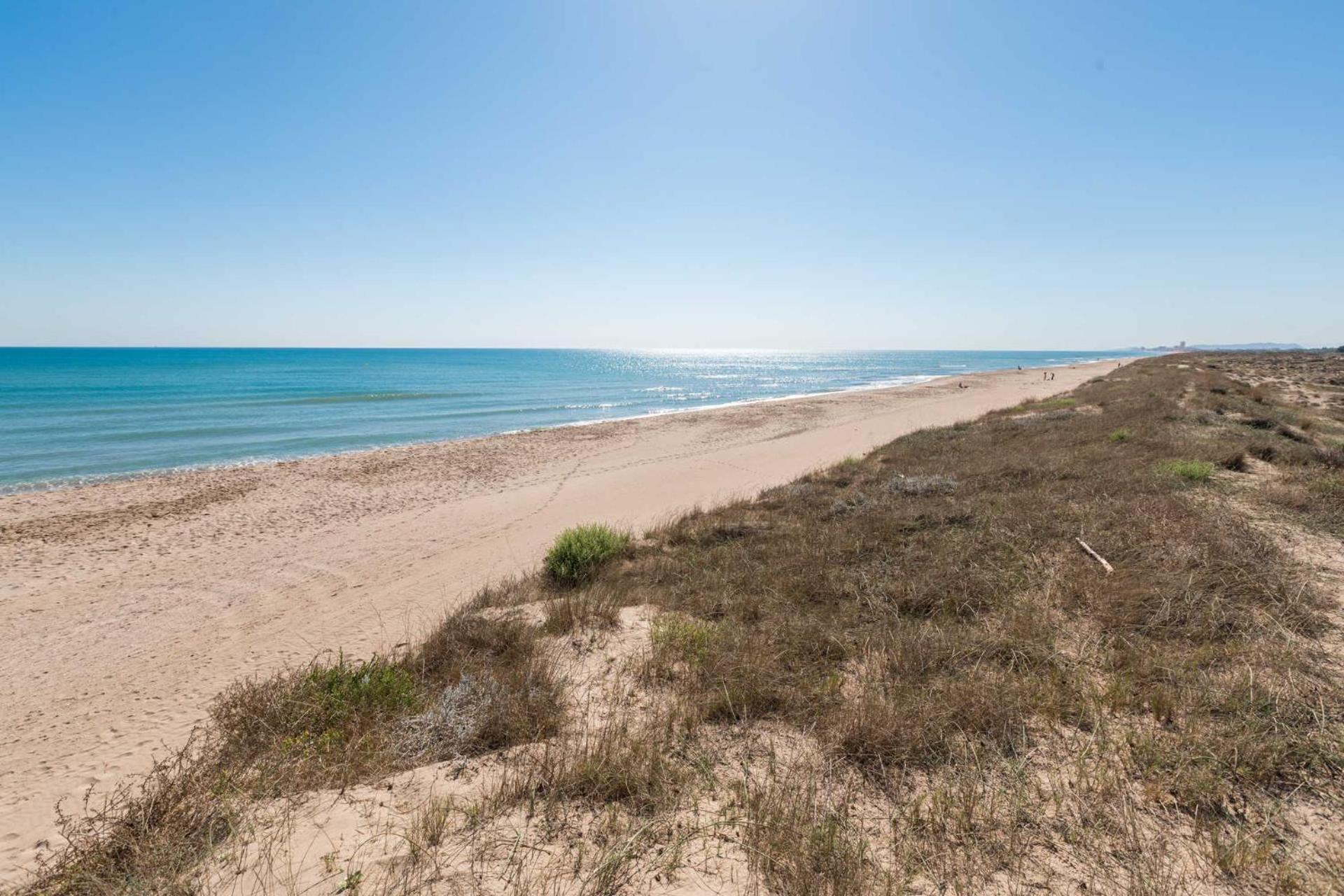 Albufera Dreams Nature Suites Валенсия Экстерьер фото